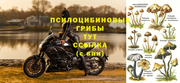 гашиш Верея