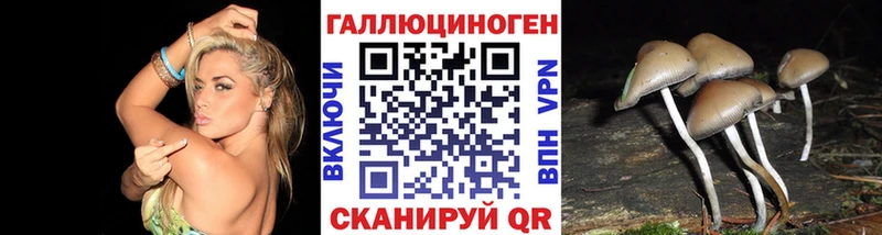 Псилоцибиновые грибы Psilocybine cubensis  Альметьевск 