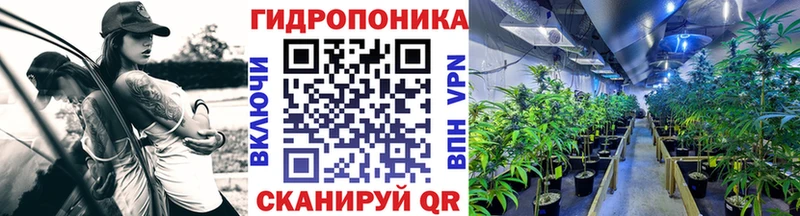 Бошки Шишки AK-47  Альметьевск 